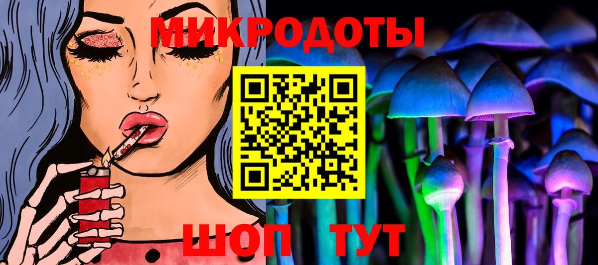 Псилоцибиновые грибы Cubensis Гуково