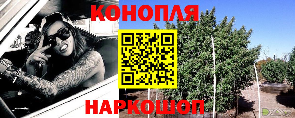 Гуково  Бошки марихуана OG Kush  Каннабис индика  Вход с VPN  Каннабис индика 