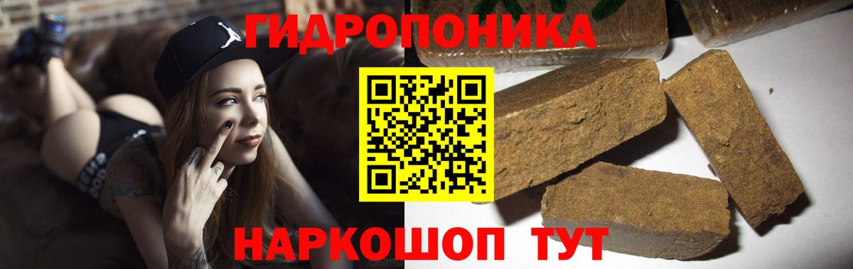 Конопля индика Гуково